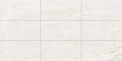 Monza Sola 30x60 SurfaceTec&reg; Scoring