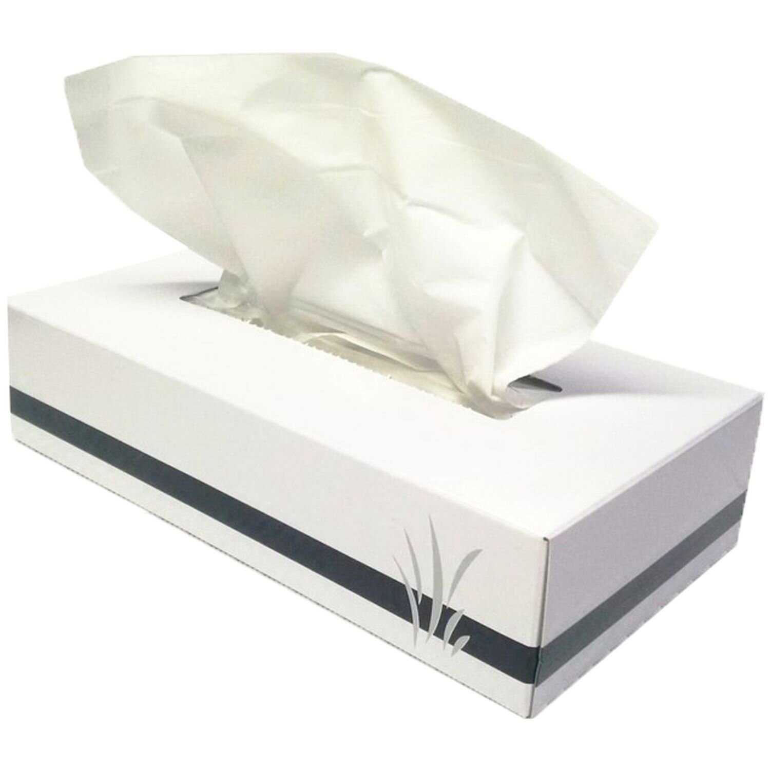 Vertu Facial Tissue 100's Ctn 48